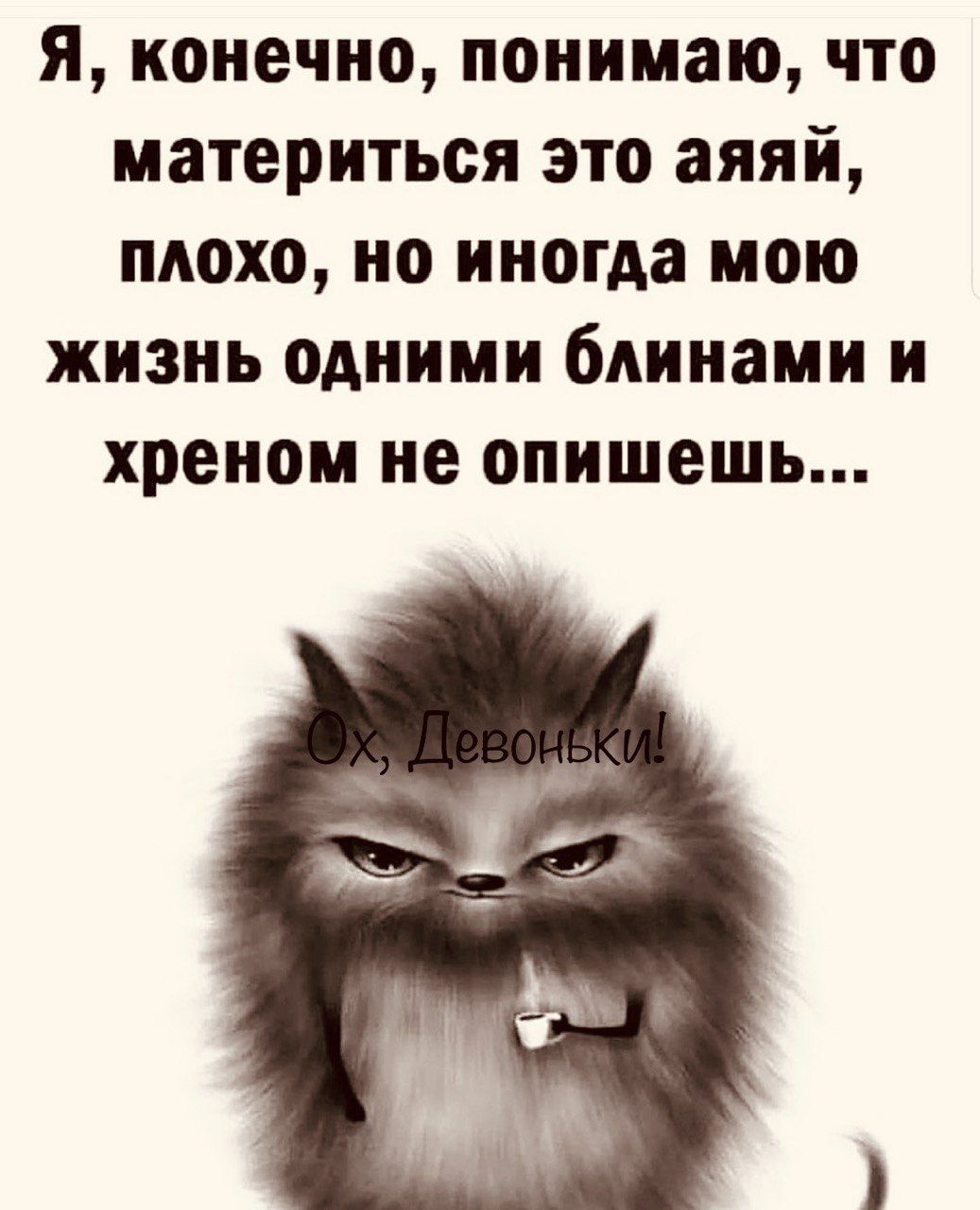 Я конечно понимаю что материться это аяяй плохо но иногда мою жизнь одними блинами и хреном не опишешь