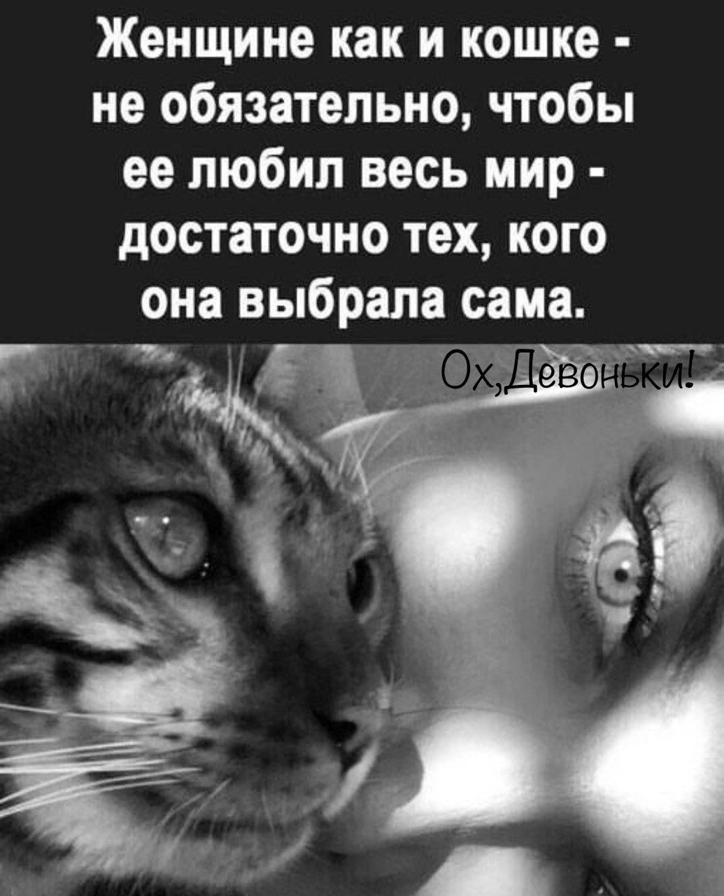 Женщине как и кошке не обязательно чтобы ее любил весь мир достаточно тех кого она выбрала сама л