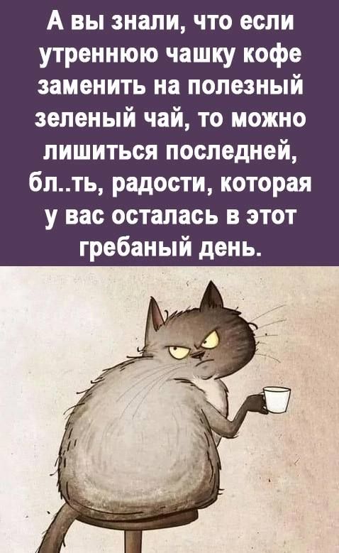 А вы знали что если утреннюю чашку кофе заменить на полезный зеленый чай то можно лишиться последней блть радости которая у вас осталась в этот гребаный день