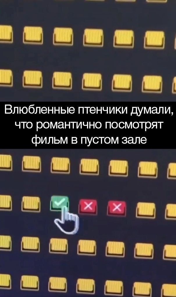 я о ж ое Влюбленные птенчики думали что романтично посмотрят фильм в пустом зале В ш ша ТТ К ИИ ор