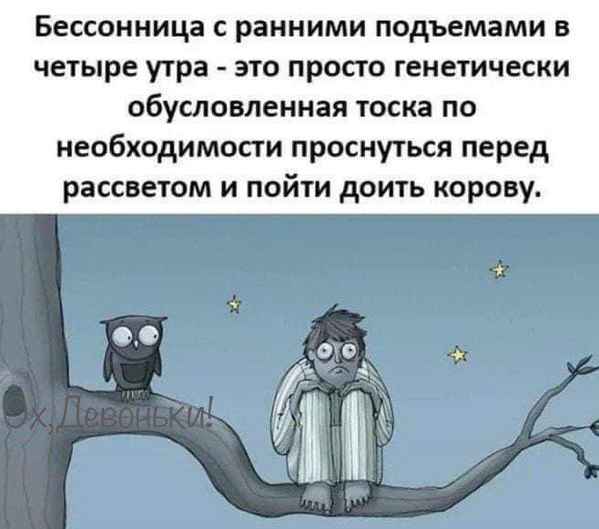 Бессонница с ранними подъемами в четыре утра это просто генетически обусловленная тоска по необходимости проснуться перед рассветом и пойти доить корову