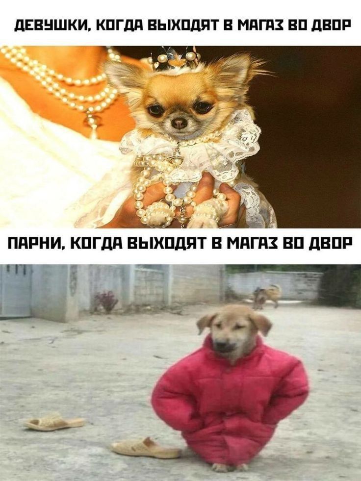 ДЕВУШКИ КОГДА ВЫХОДЯТ В МАГАХ В0 ДВОР