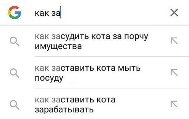 как за как засудить кота за порчу имущества как заставить кота мыть посуду как заставить кота зарабатывать х к