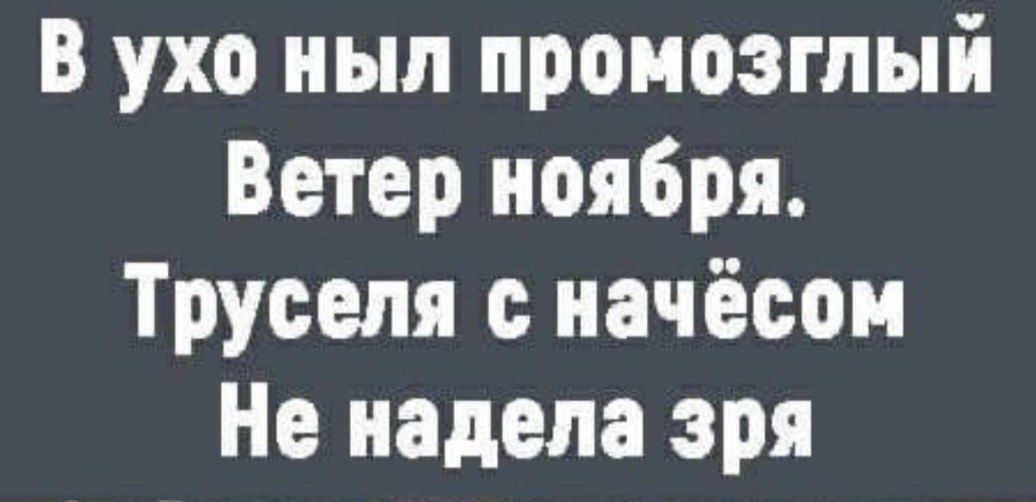 В ухо ныл промозглый Ветер ноября Труселя с начёсом Не надела зря