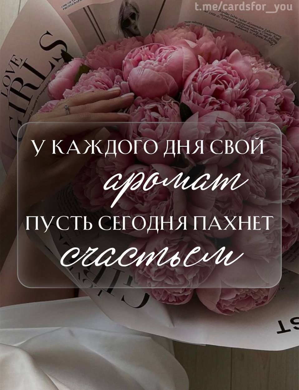 Ё Е аата д Гу КАЖДОГО ДНЯ СВОЙ ПУСТЬ СЕГОДНЯ ПАХНЕГ