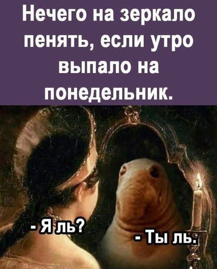 Нечего на зеркало пенять если утро выпало на понедельник ь