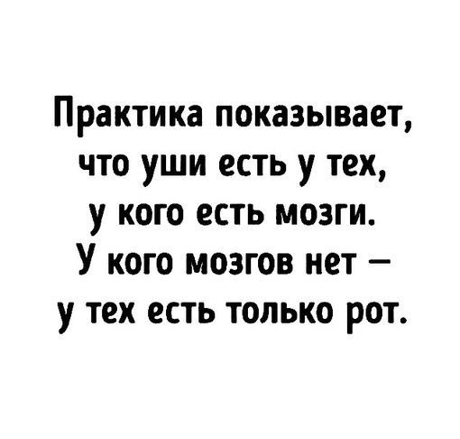 Практика показывает что уши есть у тех у кого есть мозги У кого мозгов нет у тех есть только рот