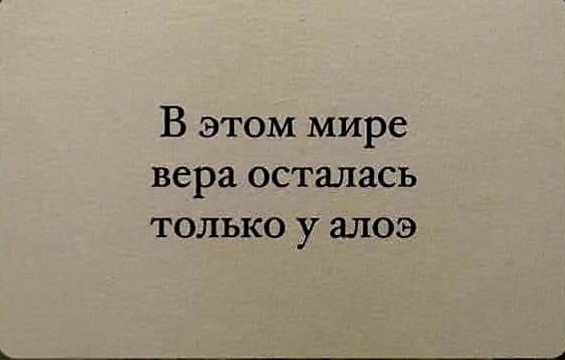 В этом мире вера осталась только у алоэ