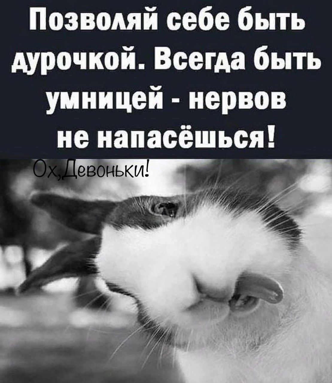 Позволяй себе быть дурочкой Всегда быть умницей нервов не напасёшься 7 чч