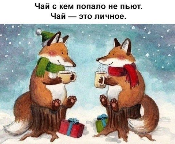 Чай с кем попало не пьют Чай это личное