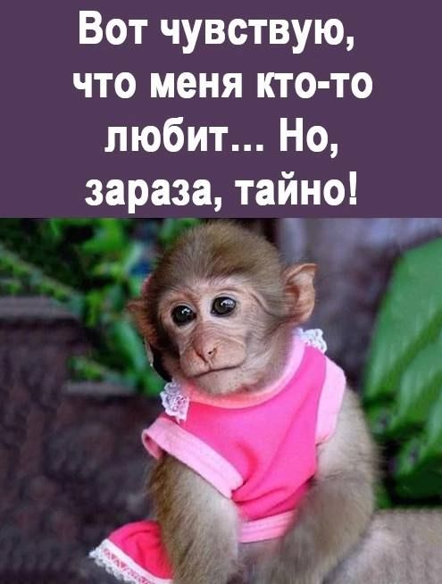 Вот чувствую что меня кто то любит Но зараза тайно Й