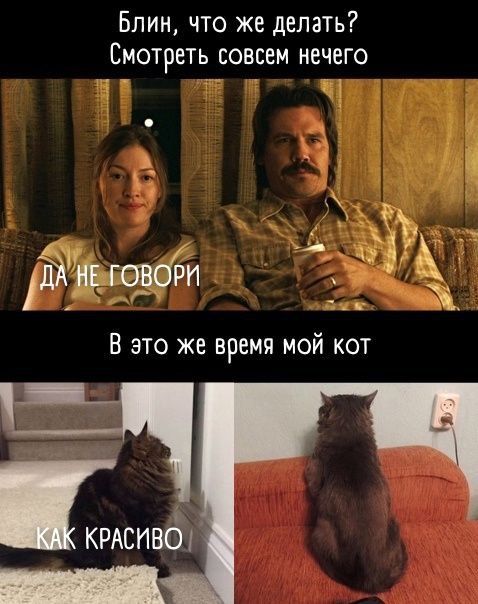 Блин что же делать Смотреть совсем нечего че у _5 Н ов ю В это же время мой кот ШАСИВГЗ ь