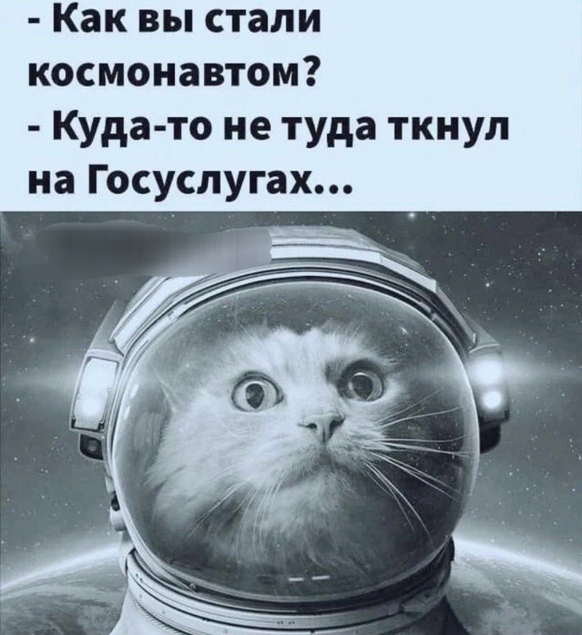 Как вы стали космонавтом Куда то не туда ткнул на Госуслугах