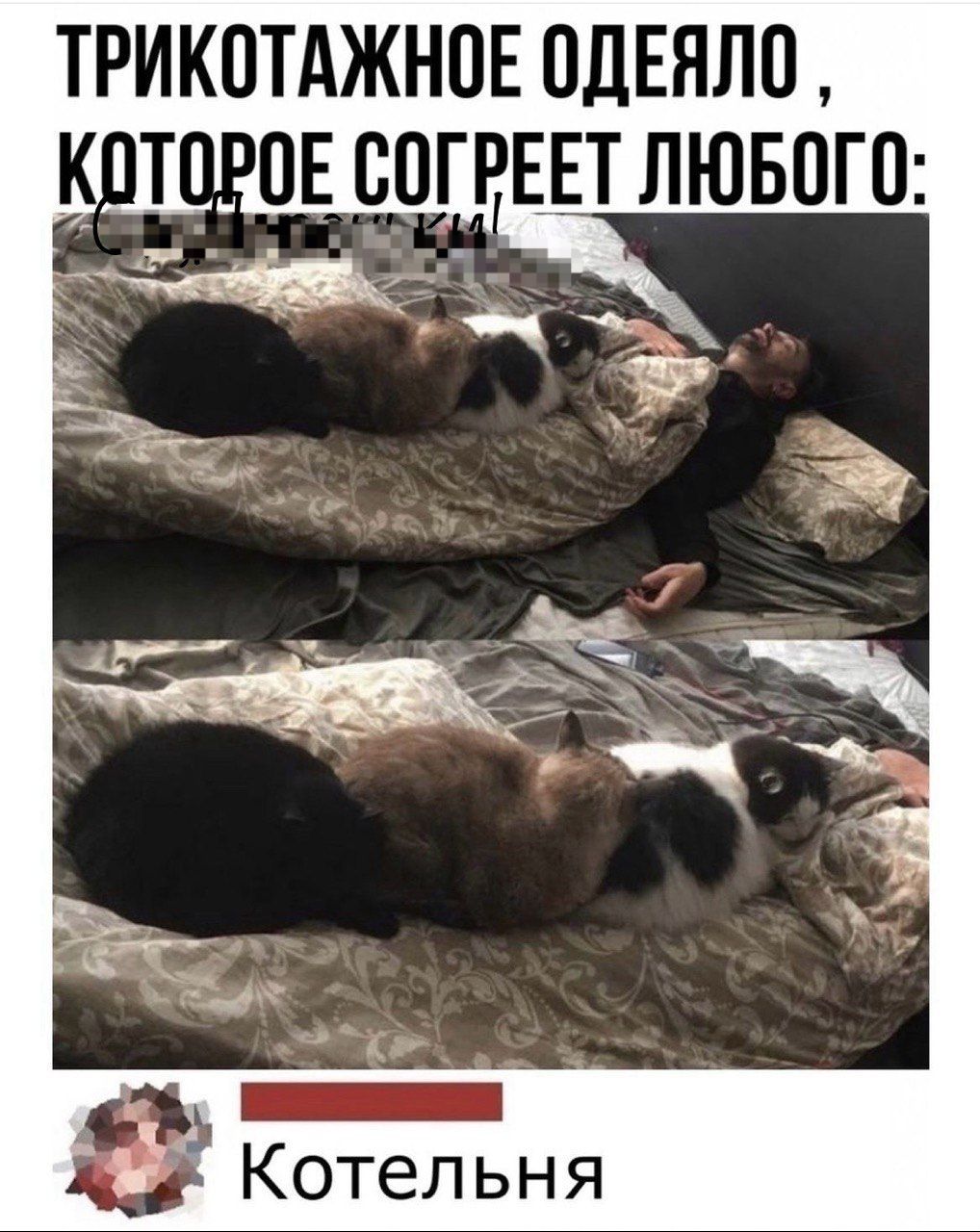 ТРИКОТАЖНОЕ ОДЕЯЛО КОТОРОЕ СОГРЕЕТ ЛЮБОГО