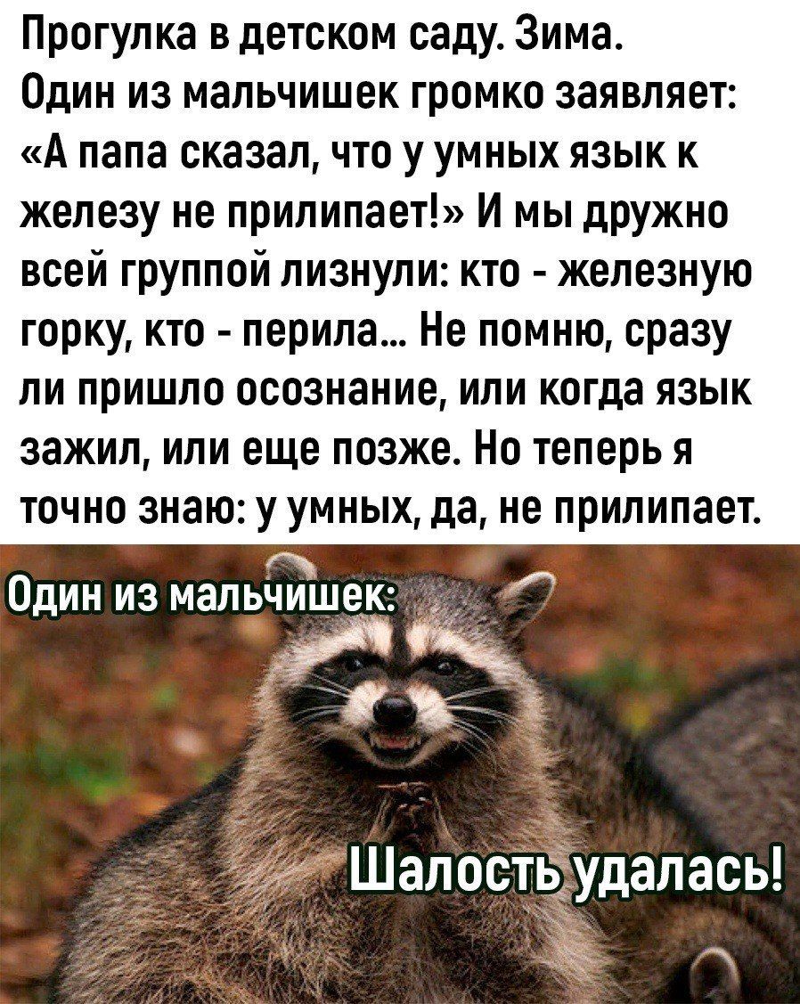 Прогулка в детском саду Зима Один из мальчишек громко заявляет А папа сказал что у умных язык к железу не прилипает И мы дружно всей группой лизнули кто железную горку кто перила Не помню сразу ли пришло осознание или когда язык зажил или еще позже Но теперь я точно знаю у умных да не прилипает л Один из мальчишек 0 2 е ь Шалостыудалась ж