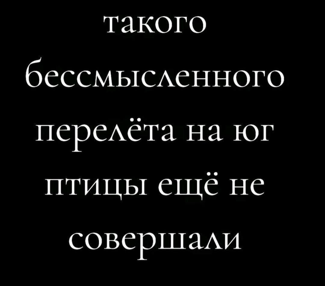 такого бессмысленного перелёта на юг птицы ещё не совершали