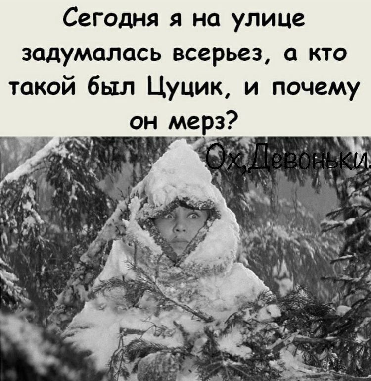 Сегодня я на улице задумалась всерьез а кто такой был Цуцик и почему