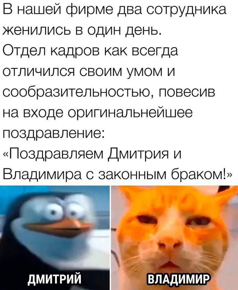 В нашей фирме два сотрудника женились в один день Отдел кадров как всегда отличился своим умом и сообразительностью повесив на входе оригинальнейшее поздравление Поздравляем Дмитрия и Владимира с законным браком Г ь бя