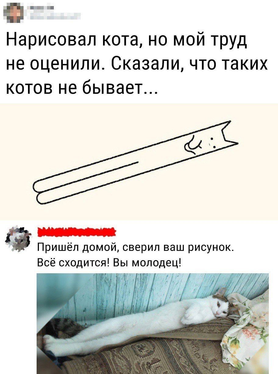 Нарисовал кота но мой труд не оценили Сказали что таких котов не бывает осс Пришёл домой сверил ваш рисунок Всё сходится Вы молодец