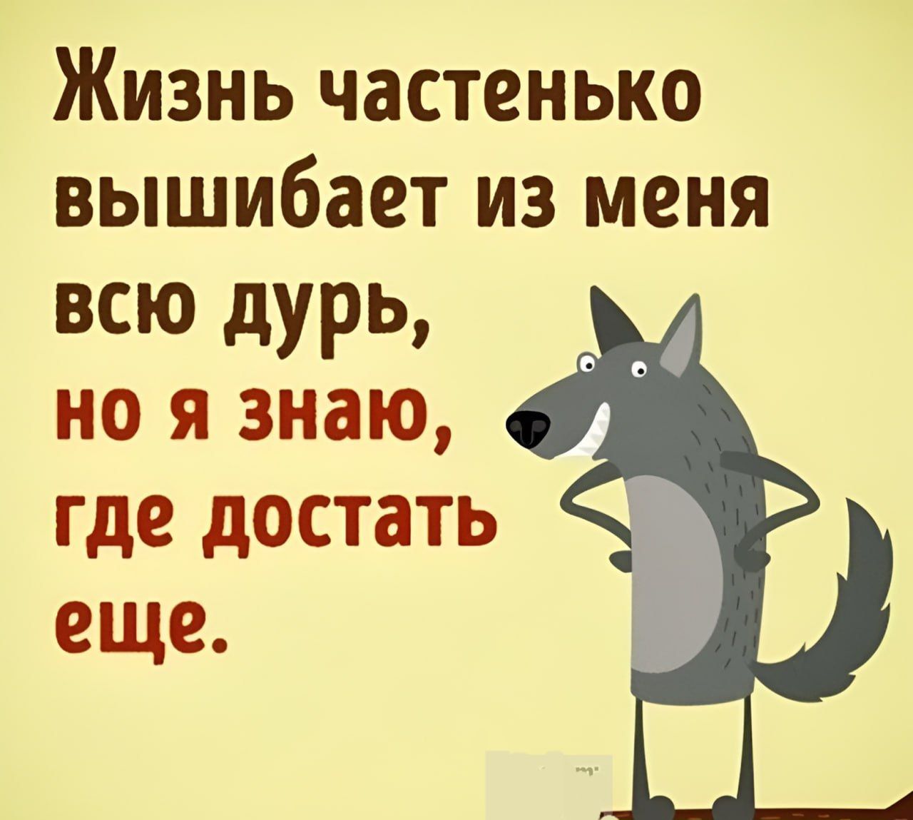 Жизнь частенько вышибает из меня всю дурь но я знаю где достать еще