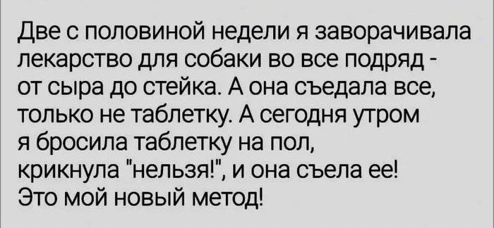 Две с половиной недели я заворачивала лекарство для собаки во все подряд от сыра до стейка А она съедала все только не таблетку А сегодня утром я бросила таблетку на пол крикнула нельзя и она съела ее Это мой новый метод