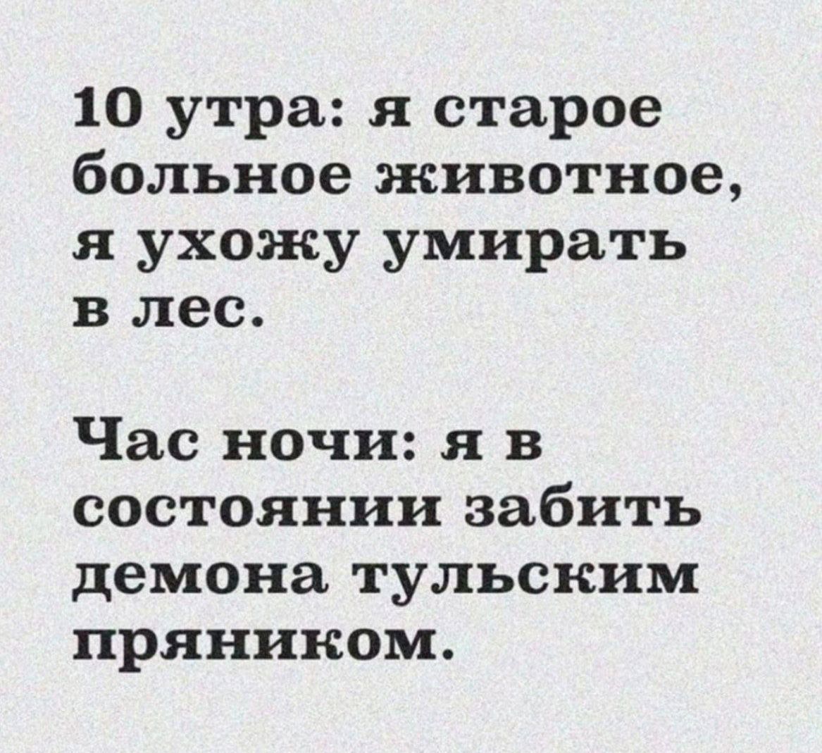 10 утра я старое больное животное я ухожу умирать в лес Час ночи я в состоянии забить демона тульским пряником