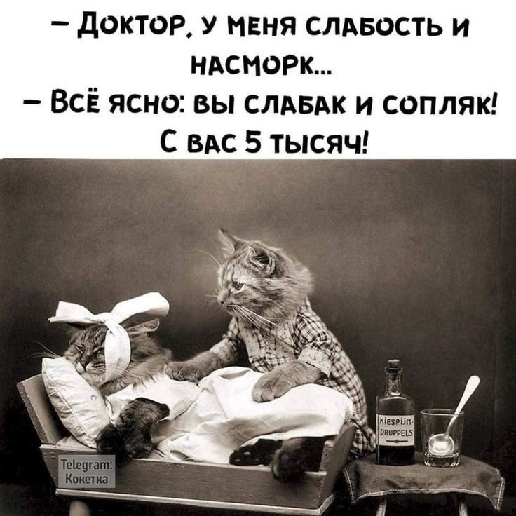 – Доктор, у меня слабость и насморк... – Всё ясно: вы слабак и сопляк! С вас 5 тысяч!
