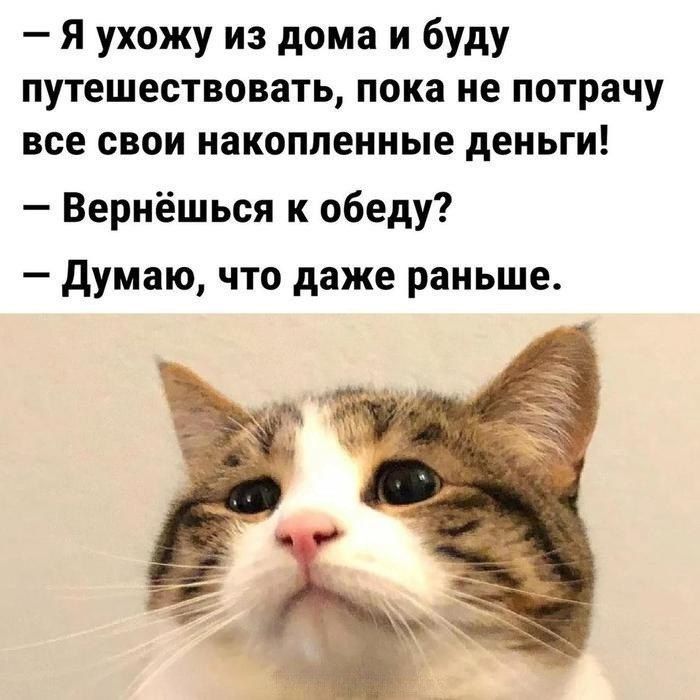 — Я ухожу из дома и буду путешествовать, пока не потрачу все свои накопленные деньги!  — Вернёшься к обеду?  — Думаю, что даже раньше.