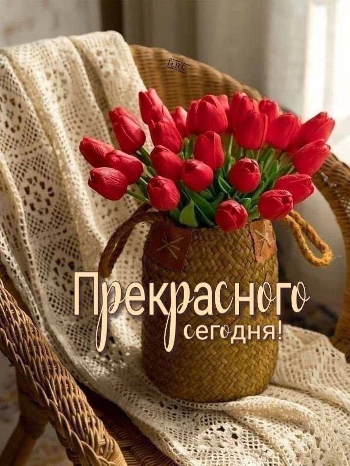 Прекрасного сегодня!