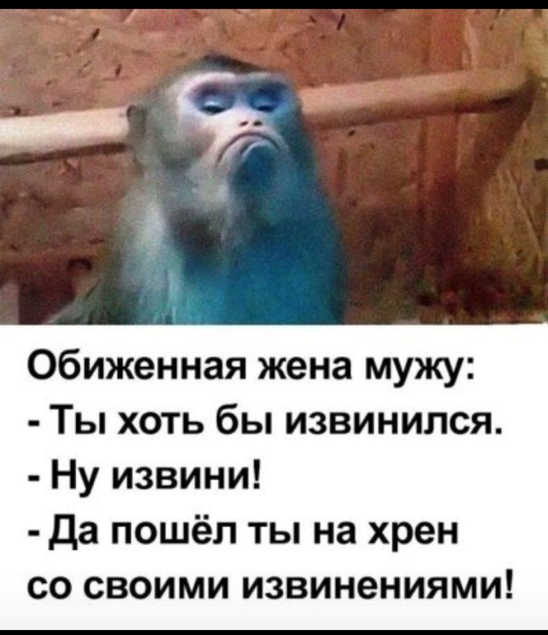 Обиженная жена мужу:
- Ты хоть бы извинился.
- Ну извини!
- Да пошёл ты на хрен со своими извинениями!