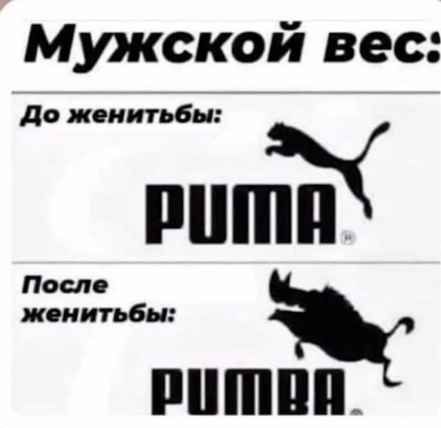 Мужской вес:
До женитьбы:
PUMA
После женитьбы:
РУМБА