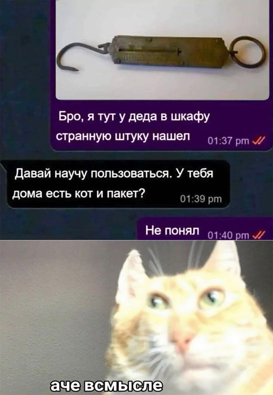 Бро, я тут у деда в шкафу странную штуку нашел
Давай научу пользоваться. У тебя дома есть кот и пакет?
Не понял
аче всмысле