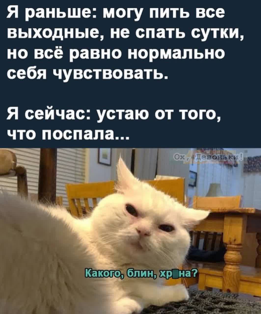 Я раньше: могу пить все выходные, не спать сутки, но всё равно нормально себя чувствовать.

Я сейчас: устаю от того, что поспала...

Какого, блин, хрена?