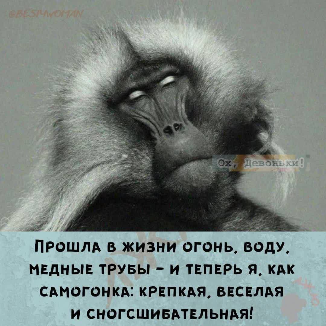 Пошла в жизни огонь, воду, медные трубы – и теперь я, как самогонка: крепкая, веселая и сногсшибательная!