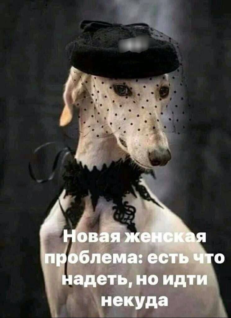 Новая женская проблема: есть что надеть, но идти некуда.