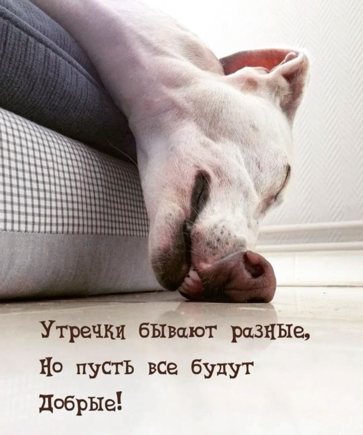 Утречки бывают разные, Но пусть все будут Добрые!