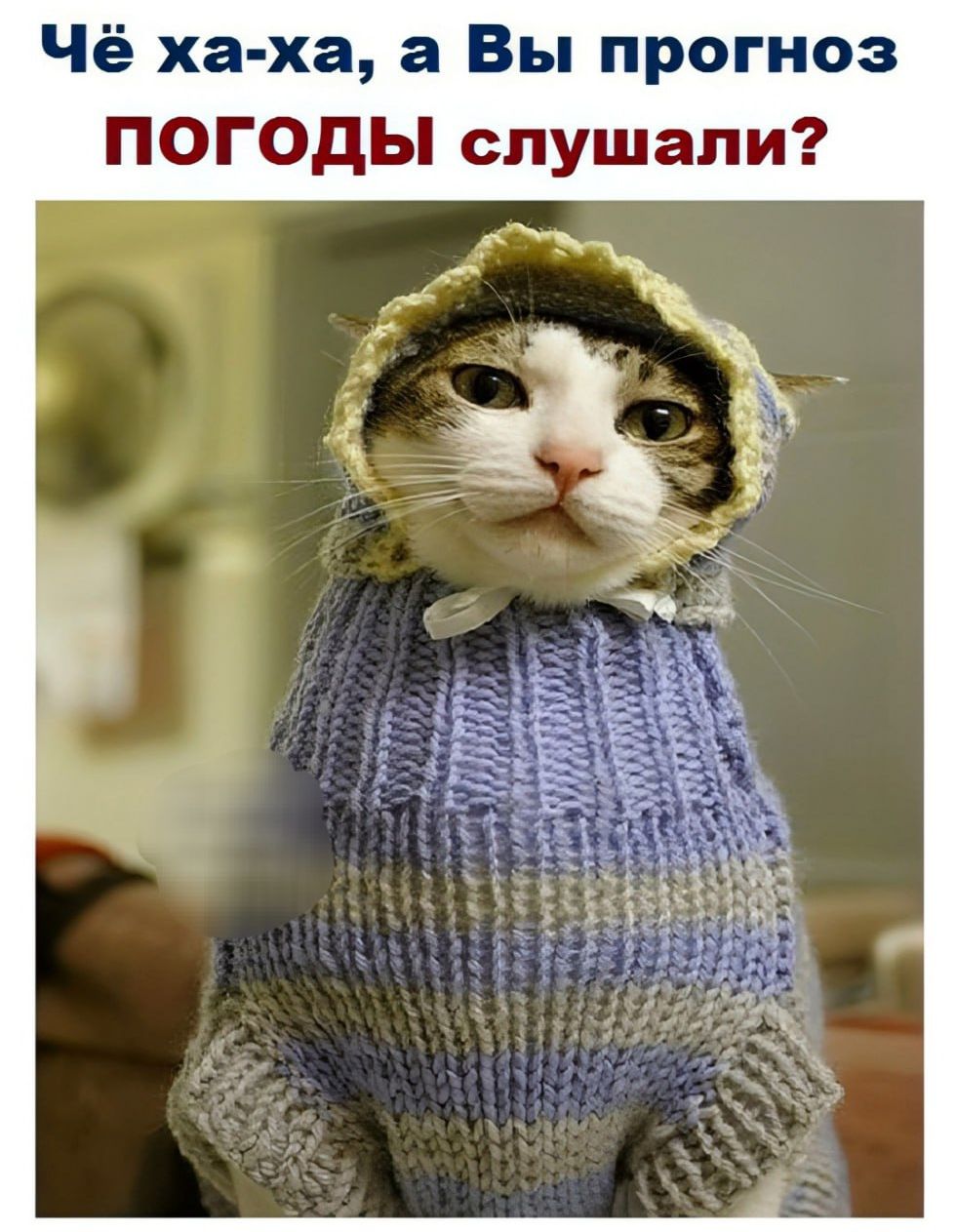 Чё ха-ха, а Вы прогноз ПОГОДЫ слушали?