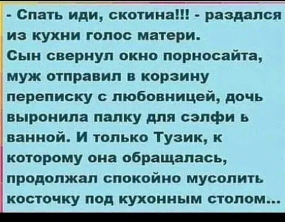 Спать иди, скотина!!! - раздался из кухни голос матери.
Сын свернул окно порносайта, муж отправил в корзину переписку с любовницей, дочь выронила палку для селфи в ванной.
И только Тузик, к которому она обращалась, продолжал спокойно мыслить косточку под кухонным столом...