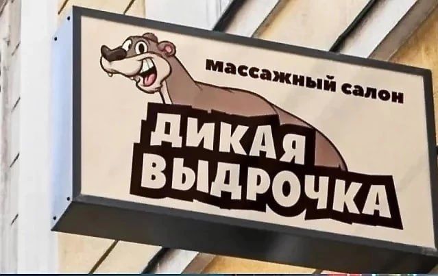 массажный салон ДИКАЯ ВЫДРОЧКА