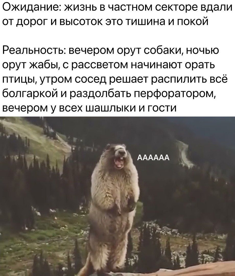 Ожидание: жизнь в частном секторе вдали от дорог и высоток это тишина и покой

Реальность: вечером орут собаки, ночью орут жабы, с рассветом начинают орать птицы, утром сосед решает распилить всё болгаркой и раздолбать перфоратором, вечером у всех шашлыки и гости

AAAAAAAA