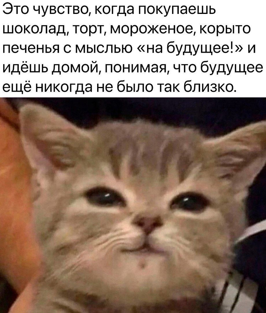 Это чувство, когда покупаешь шоколад, торт, мороженое, корыто печенья с мыслью «на будущее!» и идёшь домой, понимая, что будущее ещё никогда не было так близко.