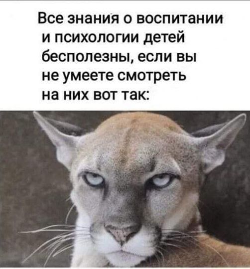 Все знания о воспитании и психологии детей бесполезны, если вы не умеете смотреть на них вот так:
