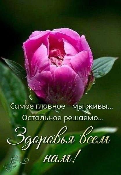 Самое главное - мы живы... Остальное решаемо... Здоровья всем нам!