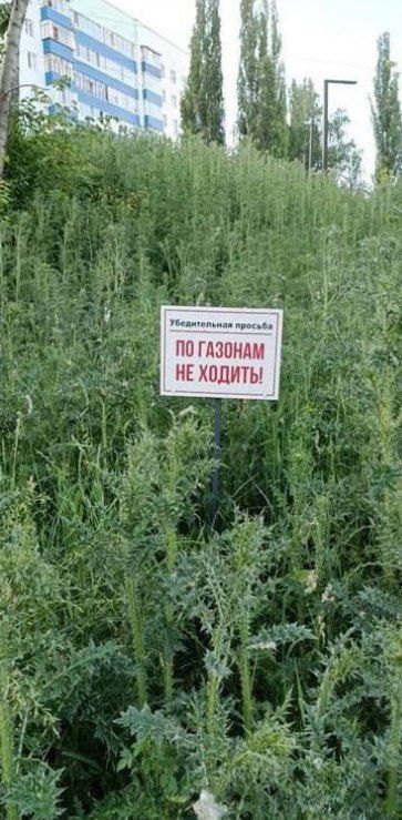 ПО ГАЗОНАМ НЕ ХОДИТЬ!