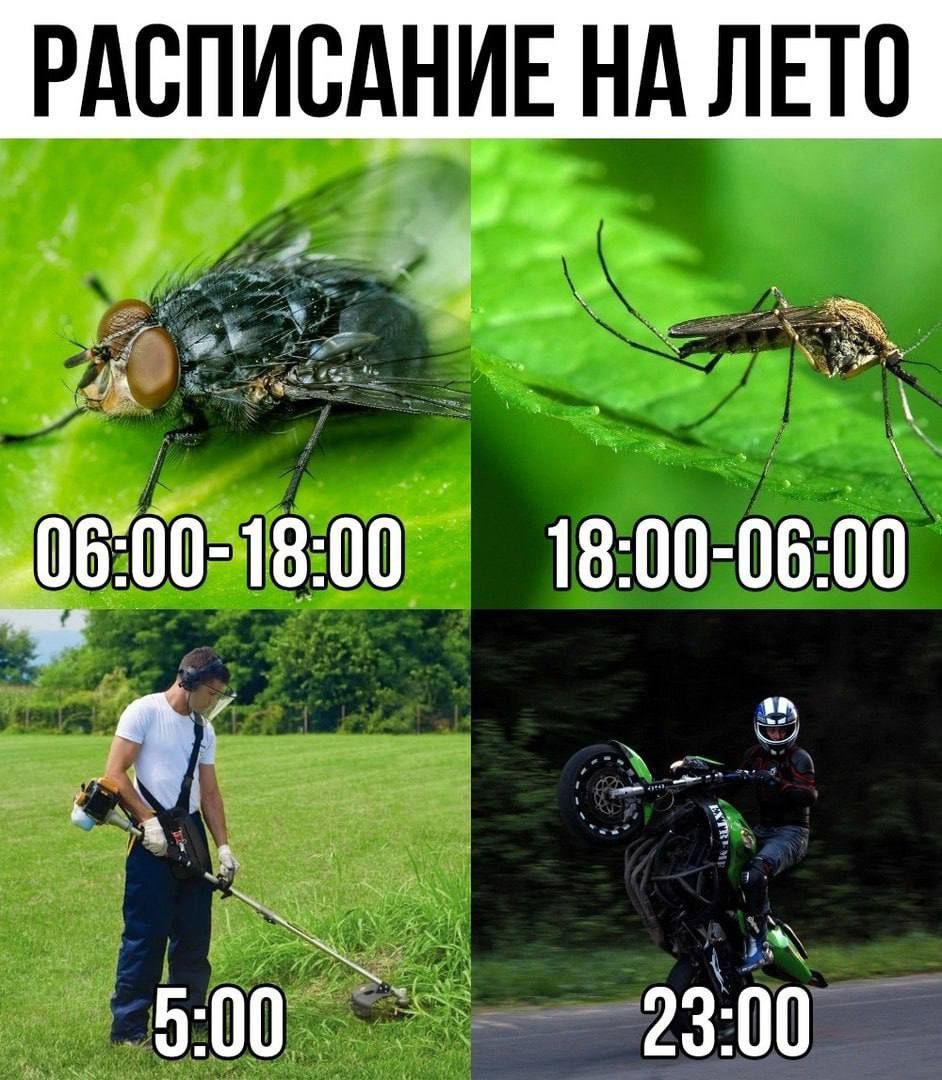 РАСПИСАНИЕ НА ЛЕТО
06:00-18:00
18:00-06:00
5:00
23:00