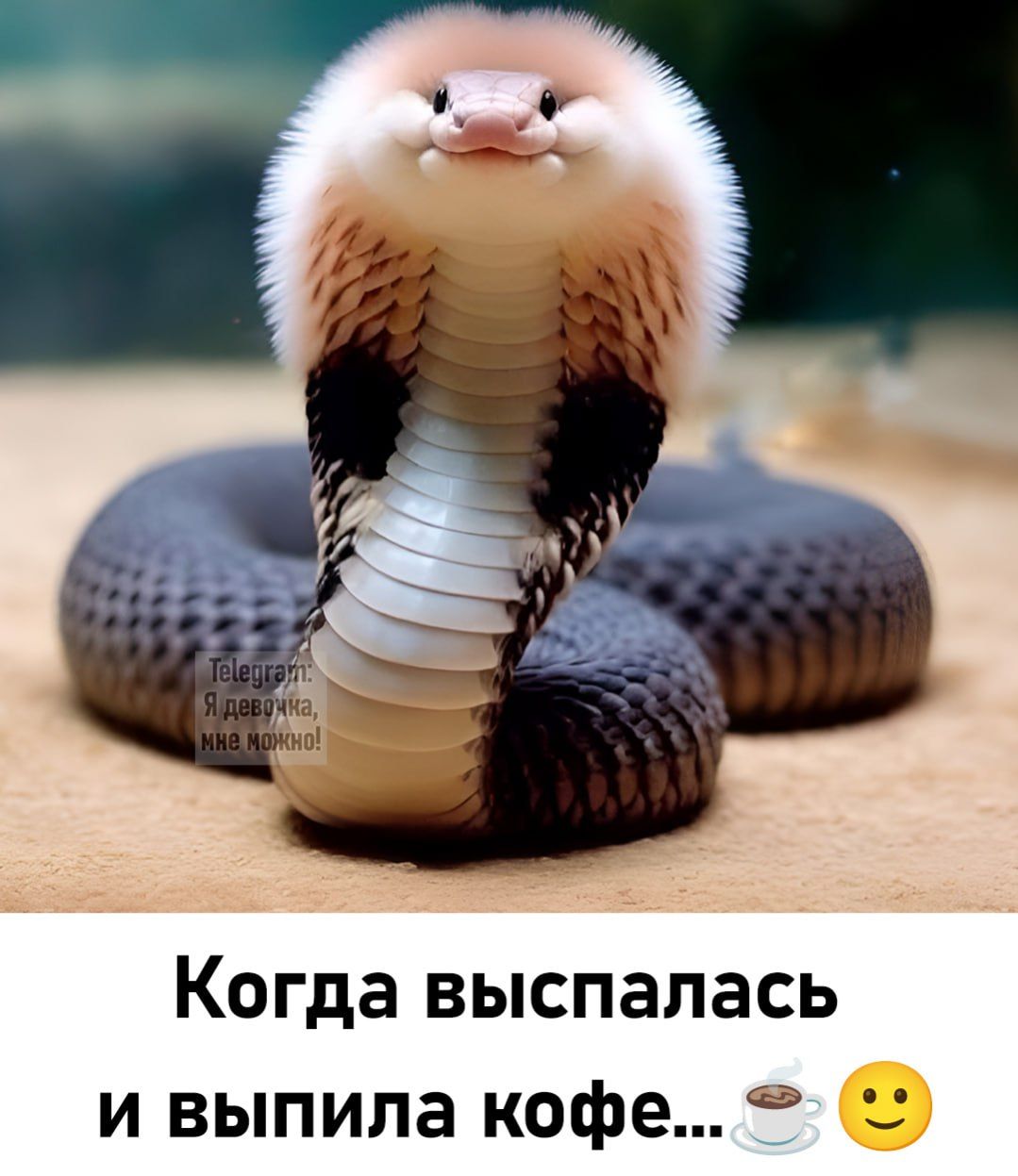 Когда выспалась и выпила кофе...