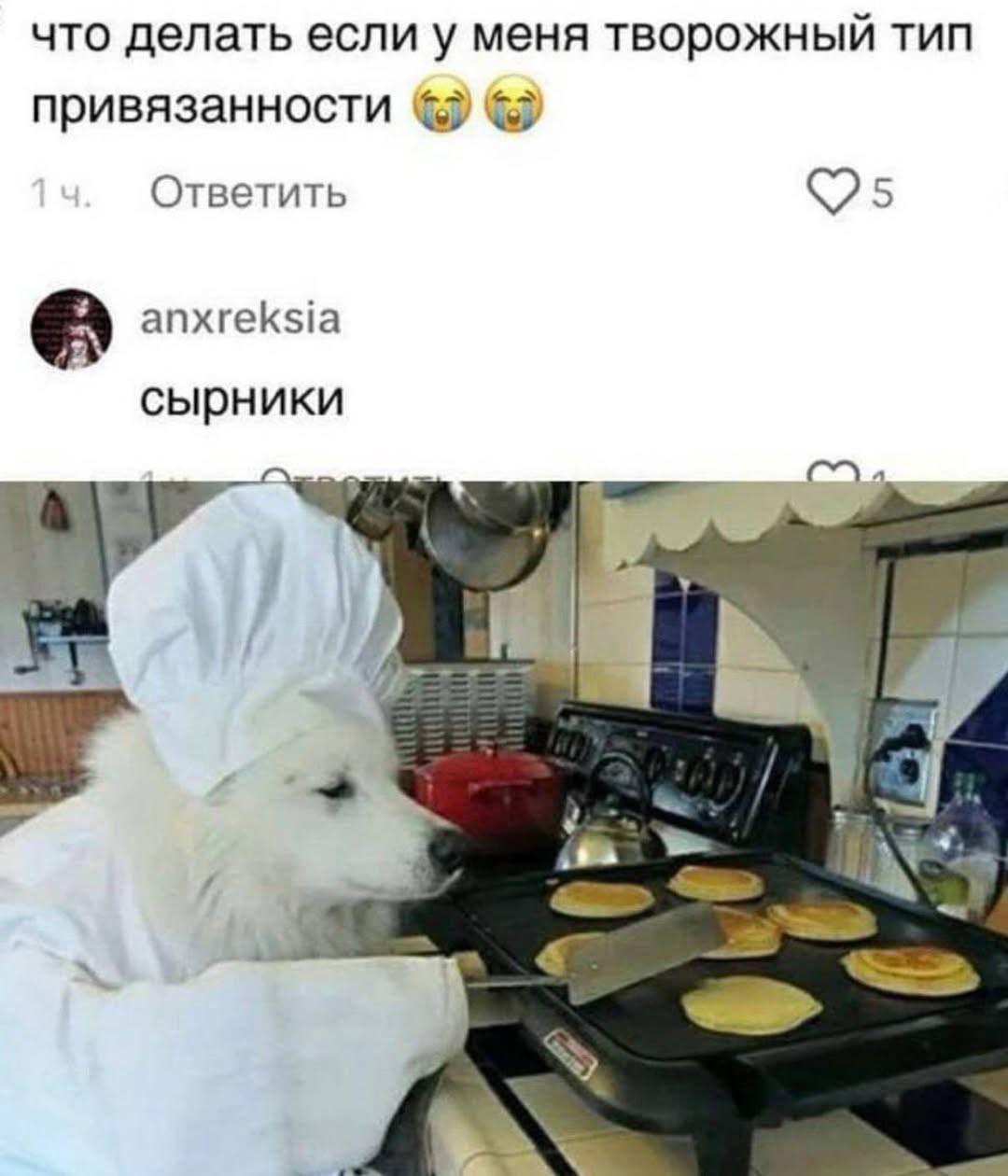 что делать если у меня творожный тип привязанности 😭😭
1 ч. Ответить
anx.reksia
сырники