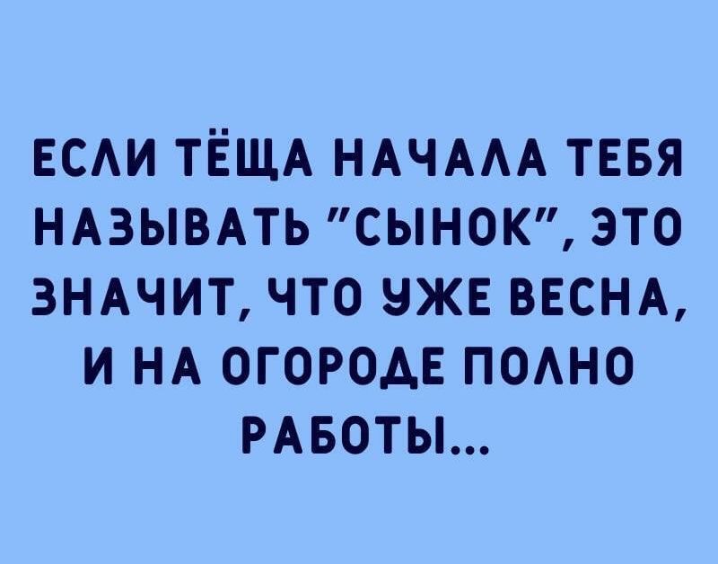 ЕСЛИ ТЁЩА НАЧАЛА ТЕБЯ НАЗЫВАТЬ “СЫНЁК”, ЭТО ЗНАЧИТ, ЧТО УЖЕ ВЕСНА, И НА ОГОРОДЕ ПОЛНО РАБОТЫ...