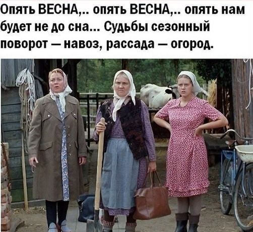 Опять ВЕСНА,.. опять ВЕСНА,.. опять нам будет не до сна... Судьбы сезонный поворот — навоз, рассада - огород.