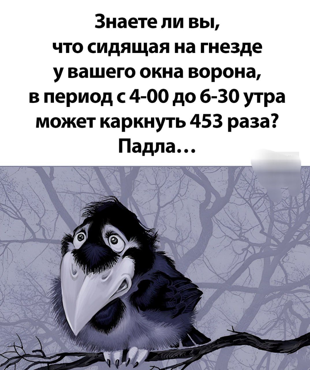 Знаете ли вы, что сидящая на гнезде у вашего окна ворона, в период с 4-00 до 6-30 утра может каркнуть 453 раза? Падла...